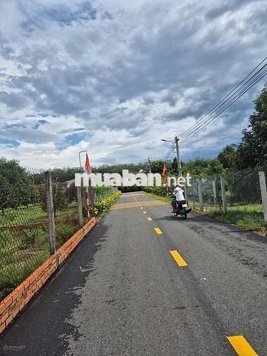 Cô Tư cần tiền sang nhanh lô đất ngộp MT DH519 Phú Giáo BÌnh Dương