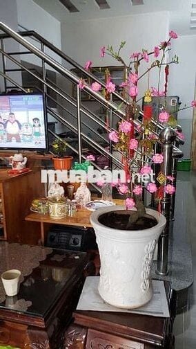 1% hoa  hồng cho người giới thiệu . Nhà hẻm xe hơi .xây dựng  kiên cố