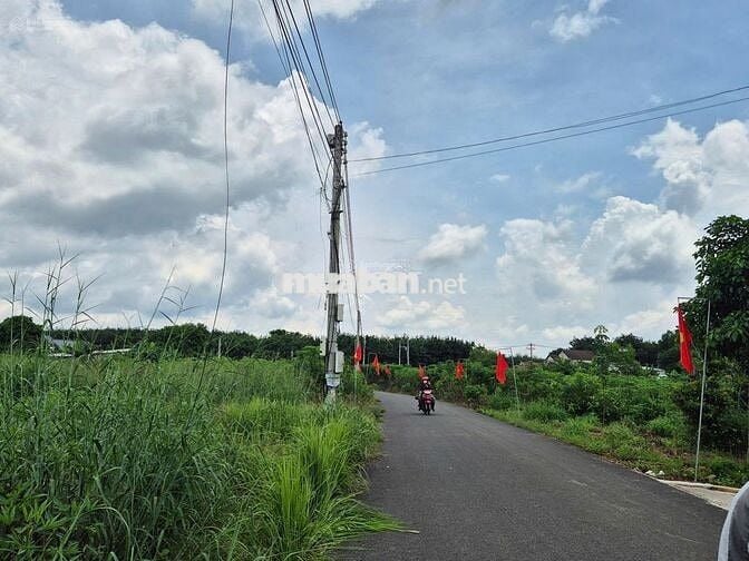 Cần sang lại giá rẻ 250m2 đất MT trục đường DH kinh doanh tốt, SHR