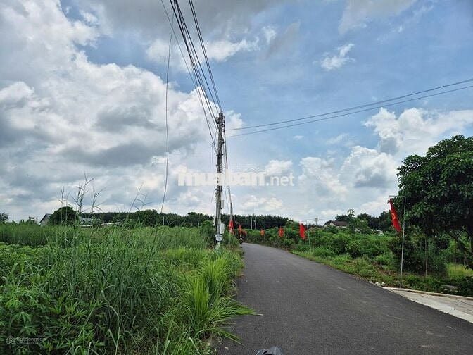 Cần sang lại giá rẻ 250m2 đất MT trục đường DH kinh doanh tốt, SHR