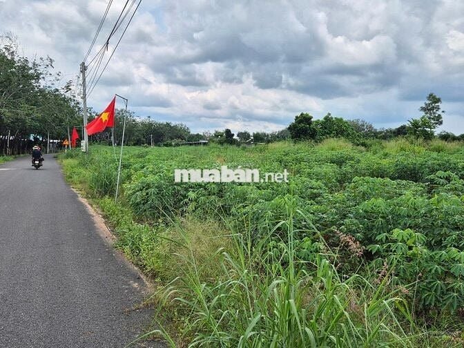 Cần sang lại giá rẻ 250m2 đất MT trục đường DH kinh doanh tốt, SHR