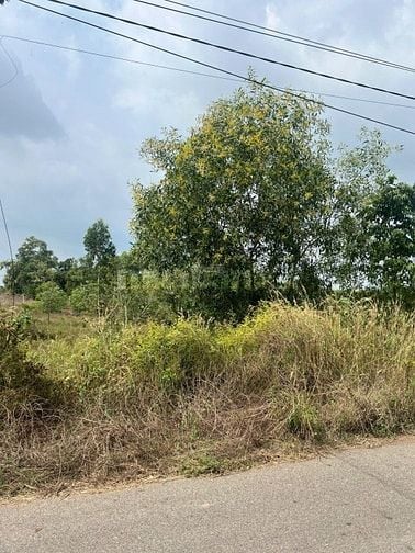 Bán đất tại Phước Long Thọ, 38 tỷ, 17764 m2, mặt tiền 93m, pháp lý đầy