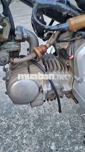 Honda Dream 2004 Super Dream Nâu đỏ