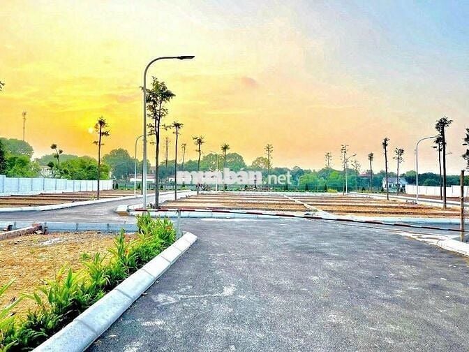 Rẻ nhất Hòa Lạc. Chủ cần bán gấp giá hời. 61,8m2 cách trục chính 10m.