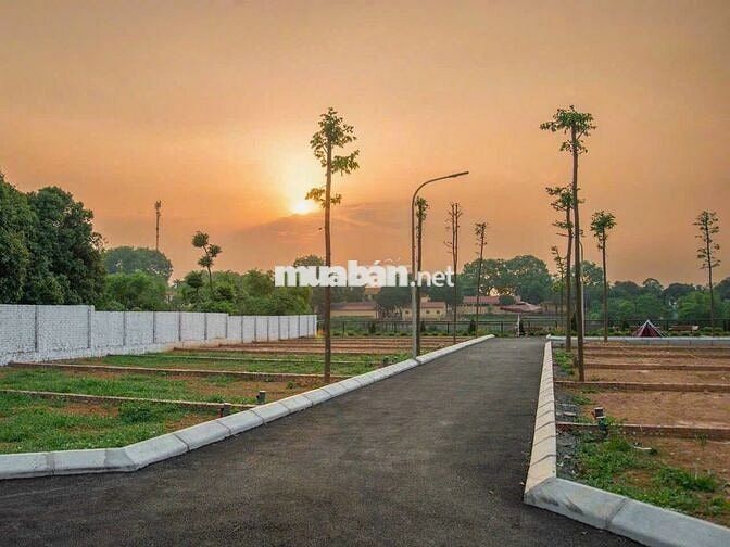 Rẻ nhất Hòa Lạc. Chủ cần bán gấp giá hời. 61,8m2 cách trục chính 10m.