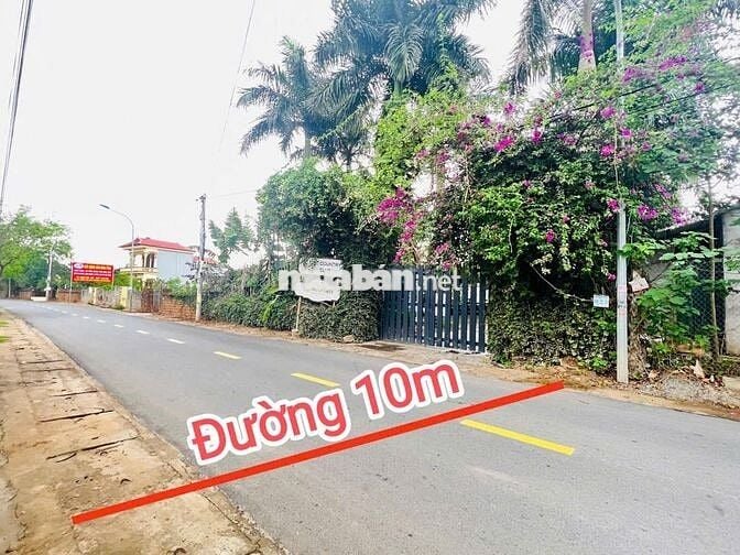 Rẻ nhất Hòa Lạc. Chủ cần bán gấp giá hời. 61,8m2 cách trục chính 10m.