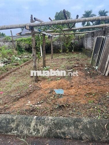 Rẻ nhất Hòa Lạc. Chủ cần bán gấp giá hời. 61,8m2 cách trục chính 10m.