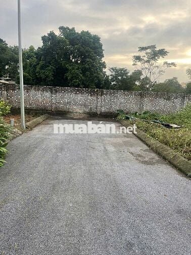 Rẻ nhất Hòa Lạc. Chủ cần bán gấp giá hời. 61,8m2 cách trục chính 10m.