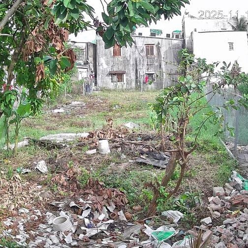 Lô đất vàng mặt tiền Mễ Cốc, Q.8 giá 38 tỷ/ 788m2 sổ hồng chính chủ