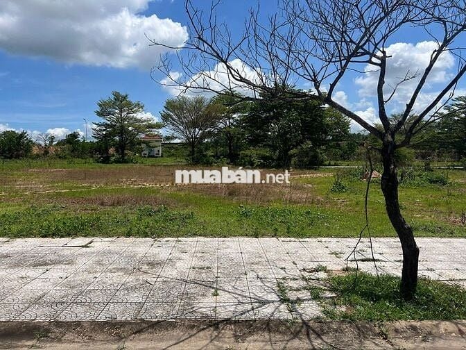 THANH LÝ GẤP LÔ ĐẤT (100M2) FULL THỔ CƯ GIÁ CHỈ 990 TRIỆU