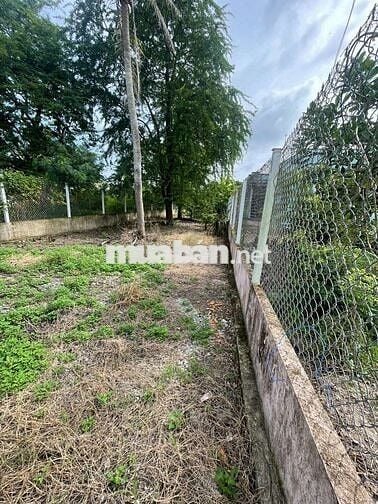 ĐẤT THỔ CƯ MẶT TIỀN ĐƯỜNG NHỰA KINH DOANH TỐT 7,6X31 XÃ MỸ LỆ.CẦN ĐƯỚC