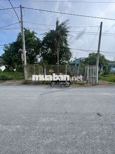 ĐẤT THỔ CƯ MẶT TIỀN ĐƯỜNG NHỰA KINH DOANH TỐT 7,6X31 XÃ MỸ LỆ.CẦN ĐƯỚC