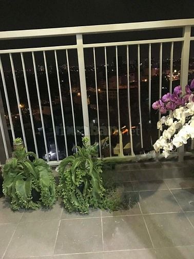 Bán nhà căn góc chưng cư An phú . Tầng 11 