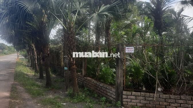 Bán đất Nông nghiệp LONG THÀNH - Long Phước giá có thể thương lượng