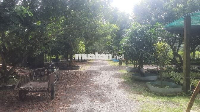 Bán đất Nông nghiệp LONG THÀNH - Long Phước giá có thể thương lượng