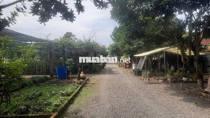 Bán đất Nông nghiệp LONG THÀNH - Long Phước giá có thể thương lượng