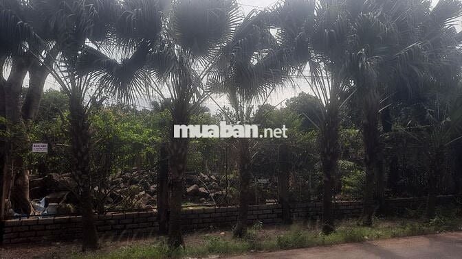 Bán đất Nông nghiệp LONG THÀNH - Long Phước giá có thể thương lượng