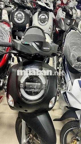 Honda Scoopy Xe tay ga màu Đen Mới