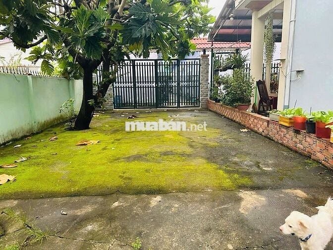 Bán gấp lô đất Ninh Tốn, Thị Trấn Củ Chi, 5x36m, giá chỉ 1,2 tỷ hiếm