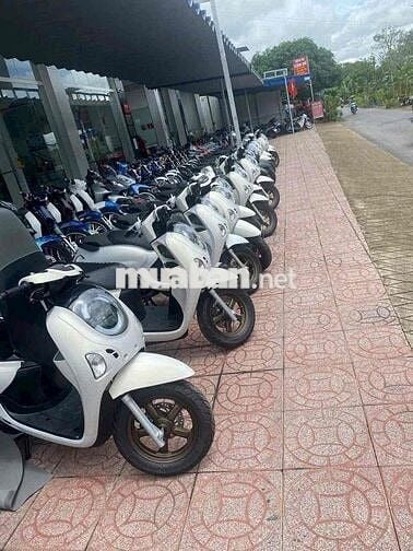 Honda Scoopy Xe tay ga màu Đen Mới