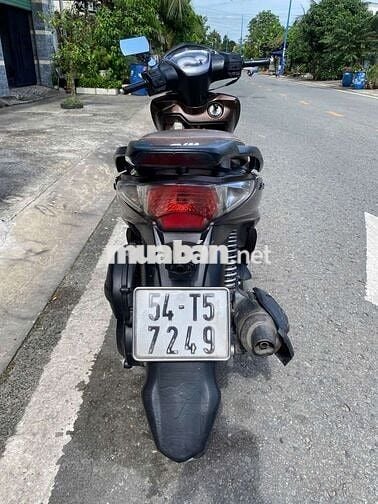 Shark biểnTP nguyênzin