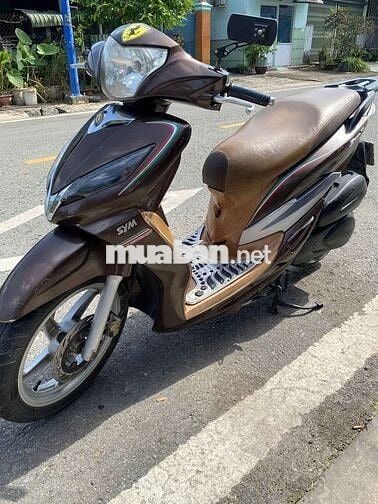 Shark biểnTP nguyênzin