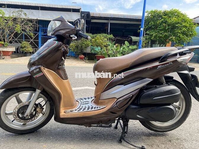 Shark biểnTP nguyênzin