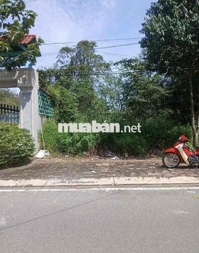 Đất Tp HCM - Ngay khu dân cư mt đường liên huyện 700tr/250m2