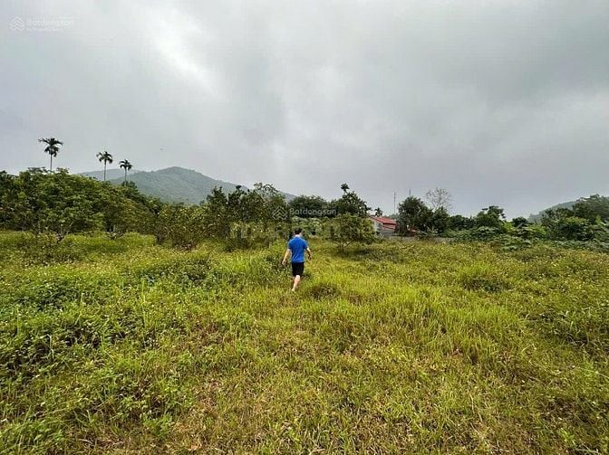 Bán gấp nhà riêng tại Cao Sơn, Lương Sơn, Hòa Bình, diện tích rộng giá