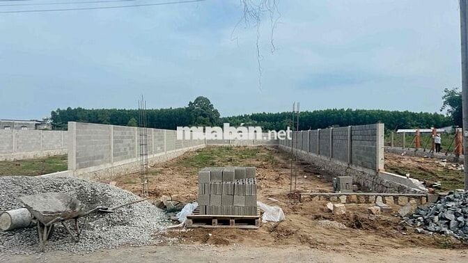 🏡 4 LÔ NHÀ VƯỜN ĐẸP NGAY ĐƯỜNG NGUYỄN HUỆ – XÃ ĐẤT ĐỎ