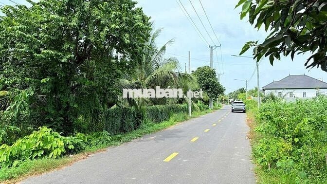 Nghỉ Dưỡng Đẹp- Đầu Tư Tốt
Lô biệt thự gần biển Phước Hải