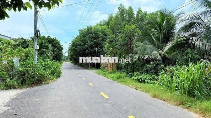 Nghỉ Dưỡng Đẹp- Đầu Tư Tốt
Lô biệt thự gần biển Phước Hải