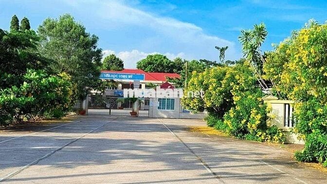 🏝️ 2 LÔ LIỀN KỀ ĐỐI DIỆN TRƯỜNG TIỂU HỌC LONG MỸ – TT PHƯỚC HẢI
