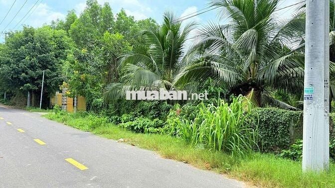 Nghỉ Dưỡng Đẹp- Đầu Tư Tốt
Lô biệt thự gần biển Phước Hải