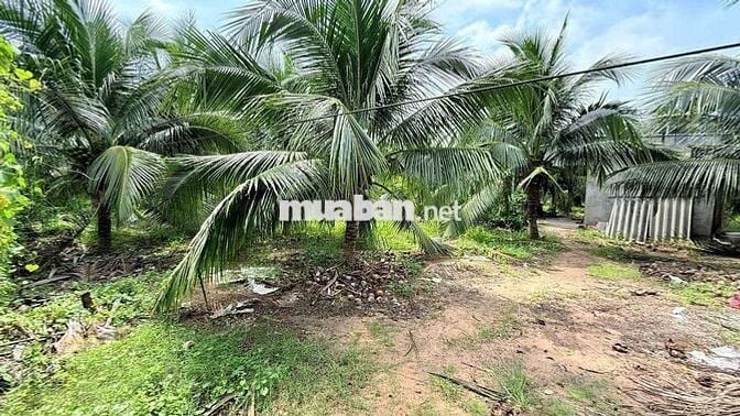 Nghỉ Dưỡng Đẹp- Đầu Tư Tốt
Lô biệt thự gần biển Phước Hải