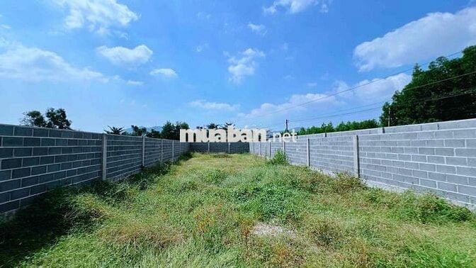 🏝️ 2 LÔ LIỀN KỀ ĐỐI DIỆN TRƯỜNG TIỂU HỌC LONG MỸ – TT PHƯỚC HẢI