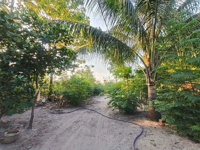 ⭐ ĐẤT VƯỜN PHƯỚC HẢI  - chỉ hơn 2tr/m2– NGANG 27M (NỞ HẬU 41M);