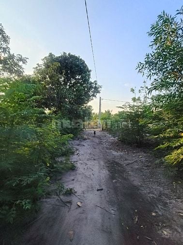 ⭐ ĐẤT VƯỜN PHƯỚC HẢI  - chỉ hơn 2tr/m2– NGANG 27M (NỞ HẬU 41M);