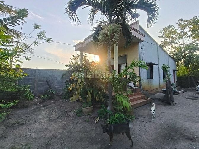 ⭐ ĐẤT VƯỜN PHƯỚC HẢI  - chỉ hơn 2tr/m2– NGANG 27M (NỞ HẬU 41M);