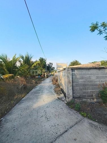 ⭐ ĐẤT VƯỜN PHƯỚC HẢI  - chỉ hơn 2tr/m2– NGANG 27M (NỞ HẬU 41M);