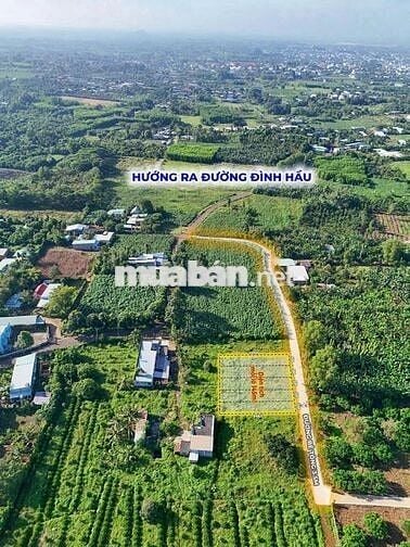 Cần bán lô đất giá rẻ gần khu công nghiệp Châu Đức - BRVT cũ