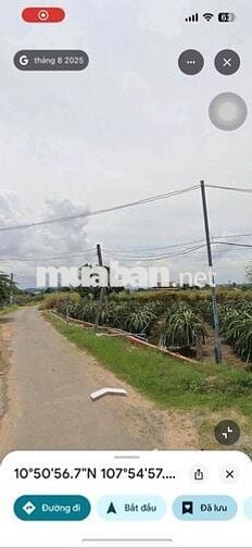 Bán Đất Hàm Minh 4000m2 - Cách QL1A 1km - Cách Phan Thiết 25km