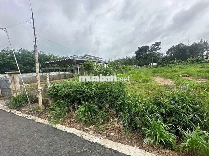 Sang Nhượng Lô Đất Nay UB Xã Tân Hiệp Phú Giáo