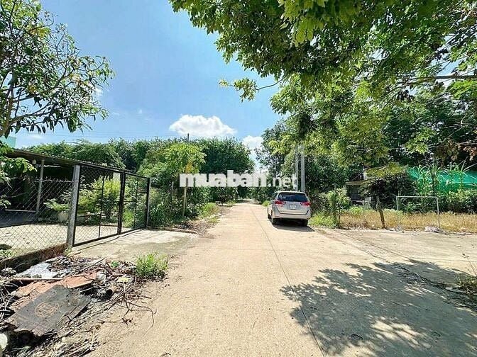 Đất vườn (70*52m)- 300m thổ - sát đường lớn