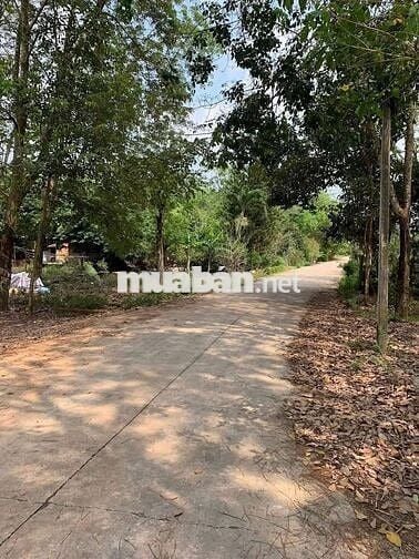 Khách Em Cần Sang Lô Đất 280m2 Ở Mặt Tiền Đường Bê Tông Giá Rẻ