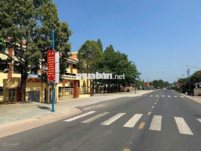 Ngộp bank cần ra lô đất Mt DH519 đối diện trường tiểu học Tân Hiệp