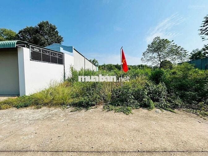 Ngộp bank cần ra lô đất Mt DH519 đối diện trường tiểu học Tân Hiệp