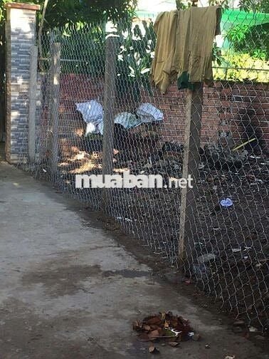 #BÁN ĐẤT NỀN 7,3M×20M-NHGUYỄN VĂN TẠO -XÃ LONG THỚI -HUYỆN NHÀ BÈ