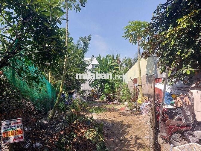 #BÁN ĐẤT NỀN 7,3M×20M-NHGUYỄN VĂN TẠO -XÃ LONG THỚI -HUYỆN NHÀ BÈ