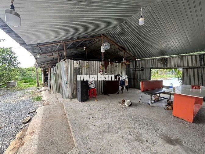 Nhà vườn 500m + nhà ở _ điện nước đầy đủ _ Đường vĩnh lộc b bình chánh